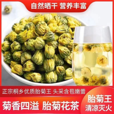 胎菊王，胎菊花茶，厂家供应，品质有保障，诚信经营，量大从优