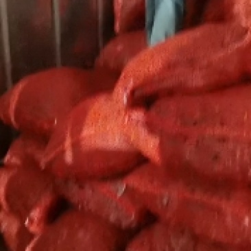 丰县北京红冷冻辣椒