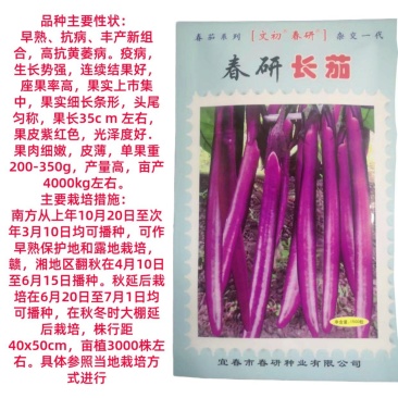 文初春研长茄种子茄子种孑线茄四季蔬菜种籽春季秋冬茄子种籽