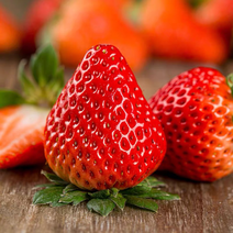 草莓大棚基地采摘园草莓一件草莓代办草莓原产地批发