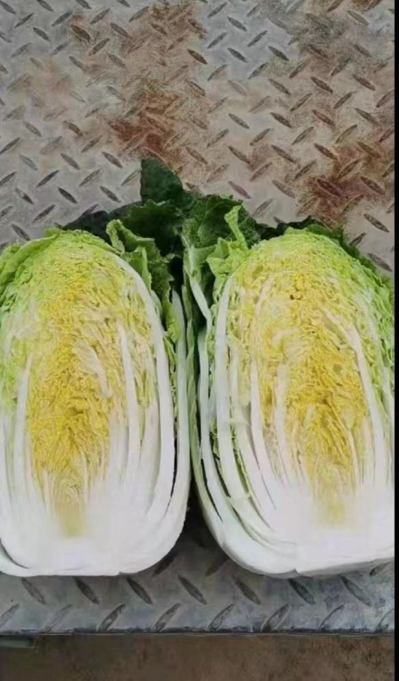 卷心白菜。包菜