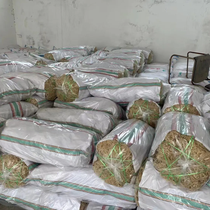 龙须菜，产地发货，对接大型批发商，欢迎来电咨询