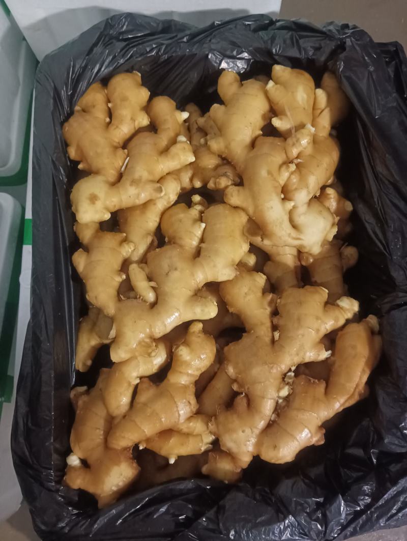 生姜产地直供，质量好价格低，一手货源，支持全国发货