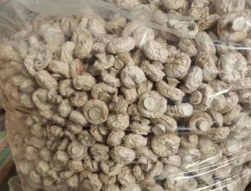 精品口蘑双孢菇干口蘑产地直发自然无硫白蘑菇AD片出口级