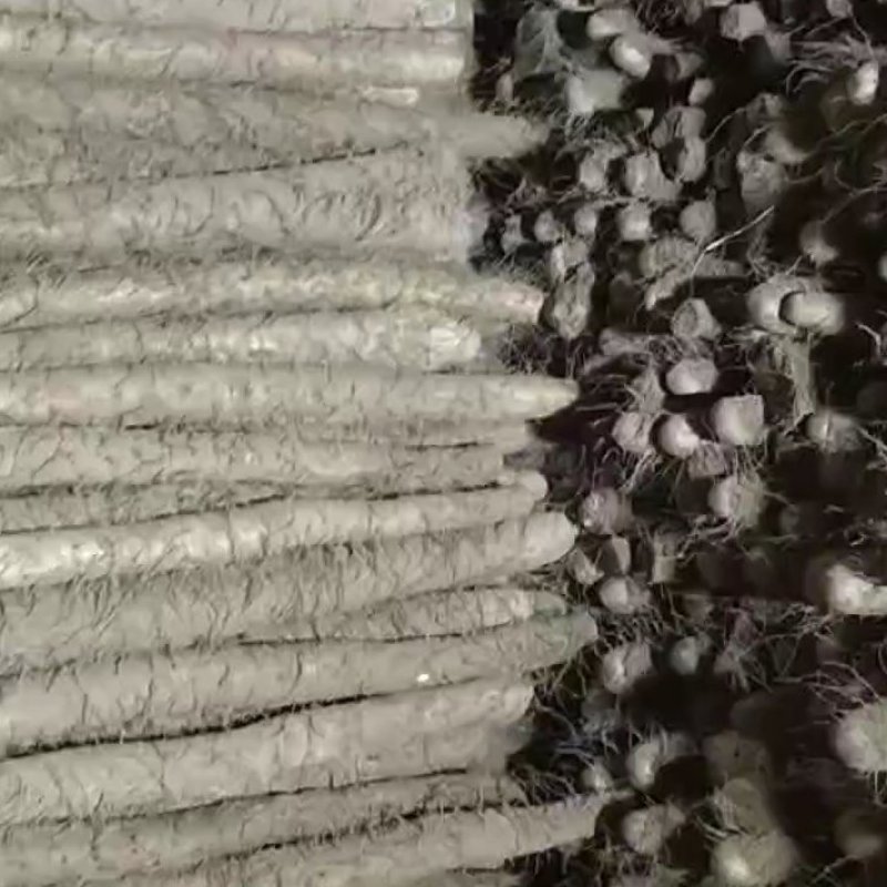 各种山药货源充足，交通方便，品质**，服务一流，诚信为本