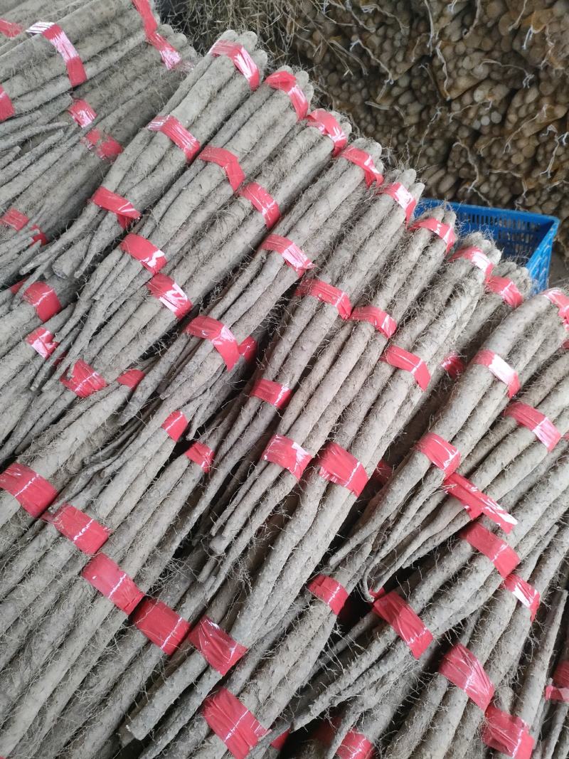 各种山药货源充足，交通方便，品质**，服务一流，诚信为本
