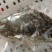 龙胆石斑鱼头龙趸石斑鱼头龙纹斑鱼头500G-700g