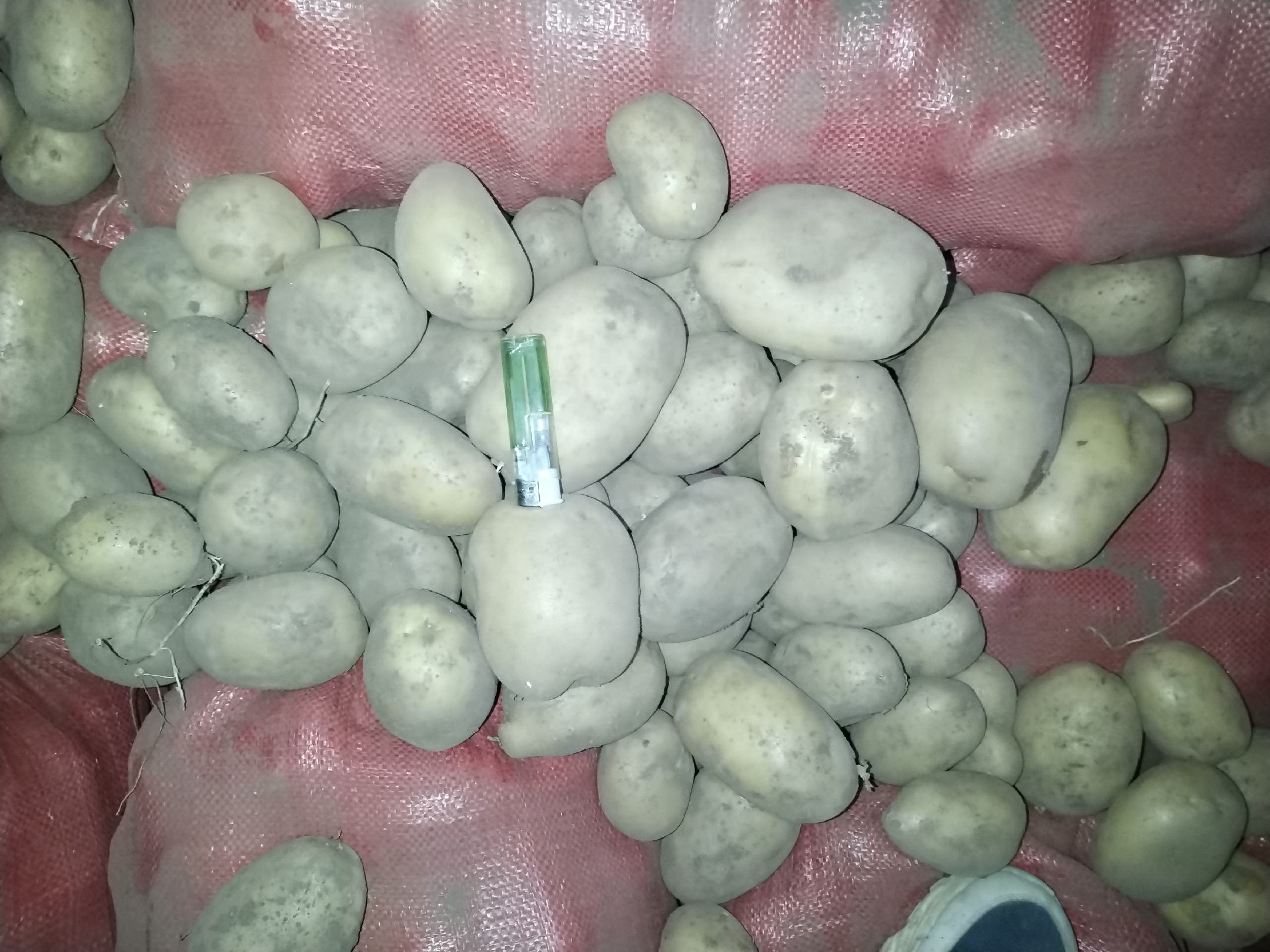 土豆与薯类营养对比图