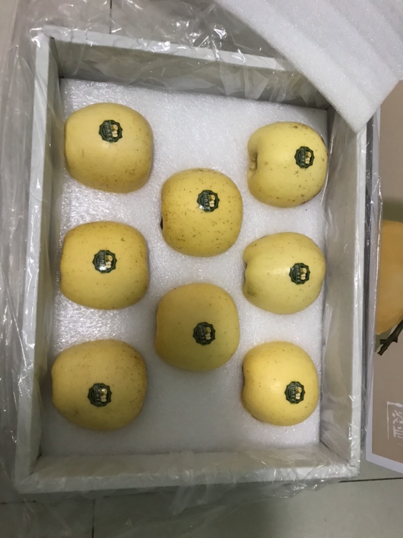 自有基地维纳斯黄金苹果.脆甜多汁香气四溢