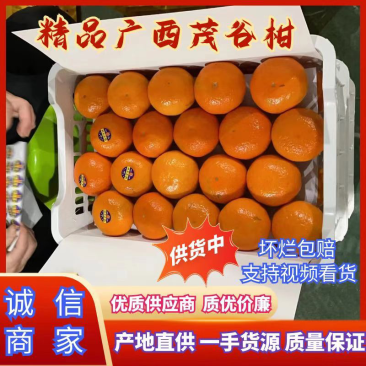 茂谷柑，茂谷柑广西崇左地区货源充足，欢迎您来选购