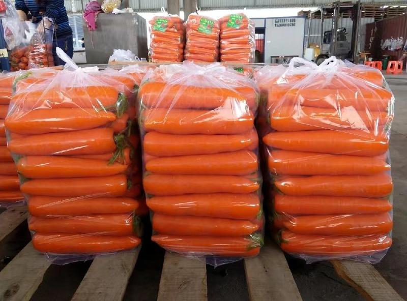 河南开封水洗胡萝卜，供应电商，超市档口，欢迎来电