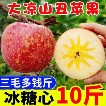 大凉山丑苹果/一件代发/产地直供/电商/微商/直播平台