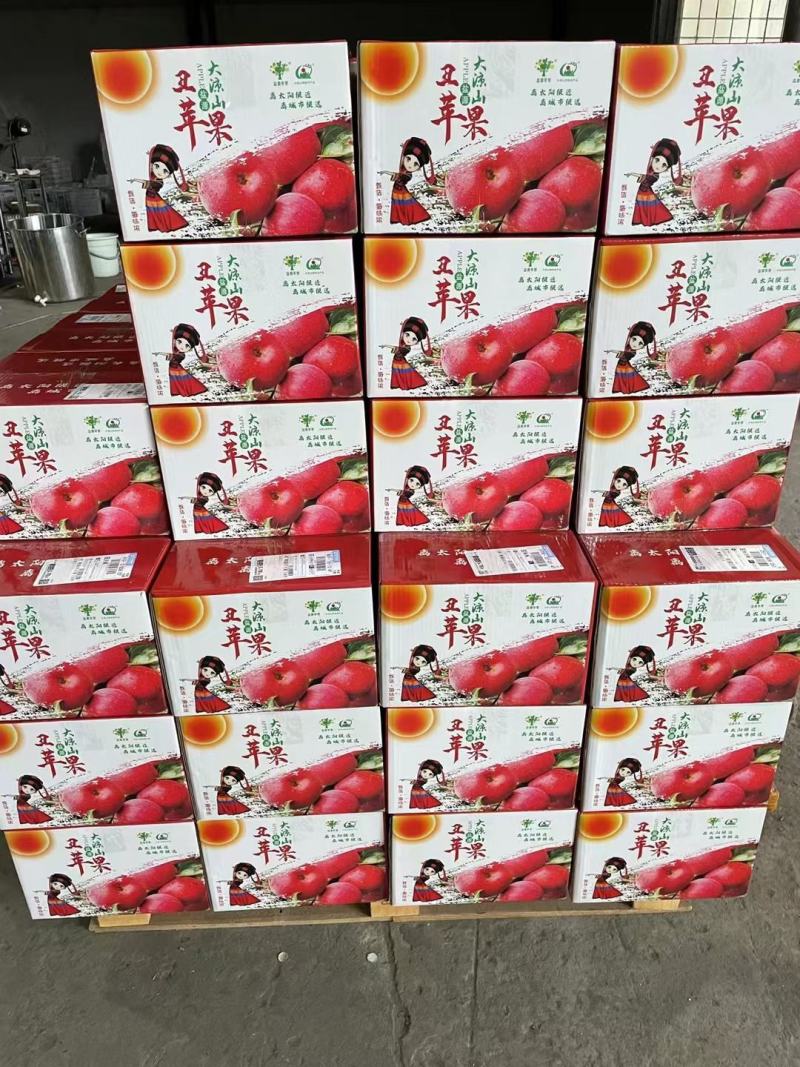 大凉山丑苹果/一件代发/产地直供/电商/微商/直播平台