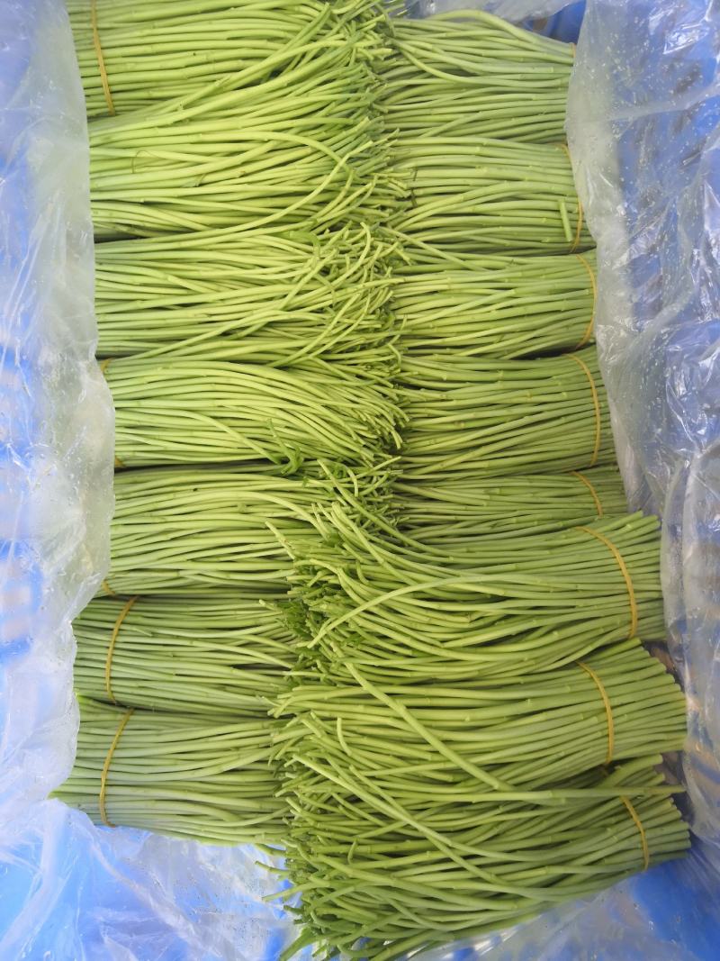 精品嫩芦蒿产地直销，优中选优质量可靠有保证