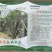 绿优抗病，冬瓜种子，长度70公分
