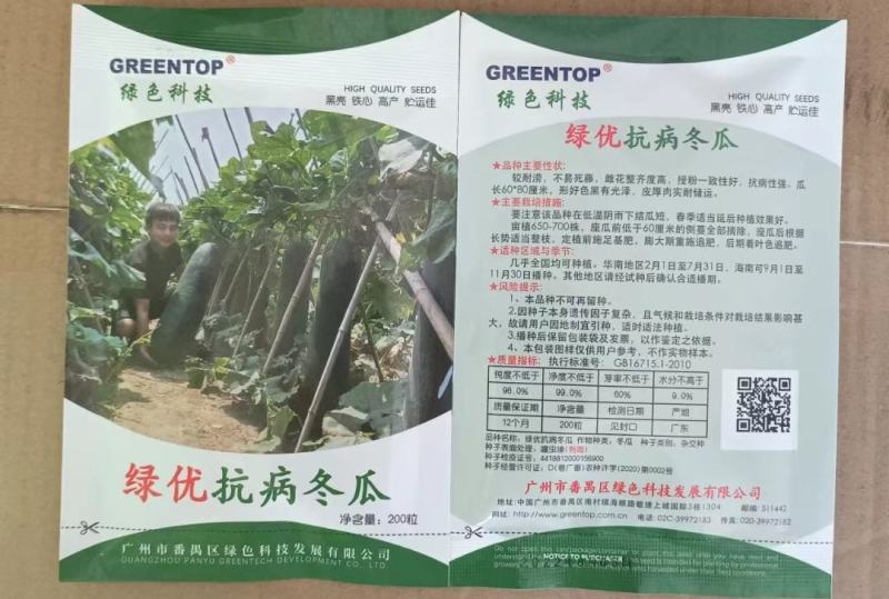 绿优抗病，冬瓜种子，长度70公分