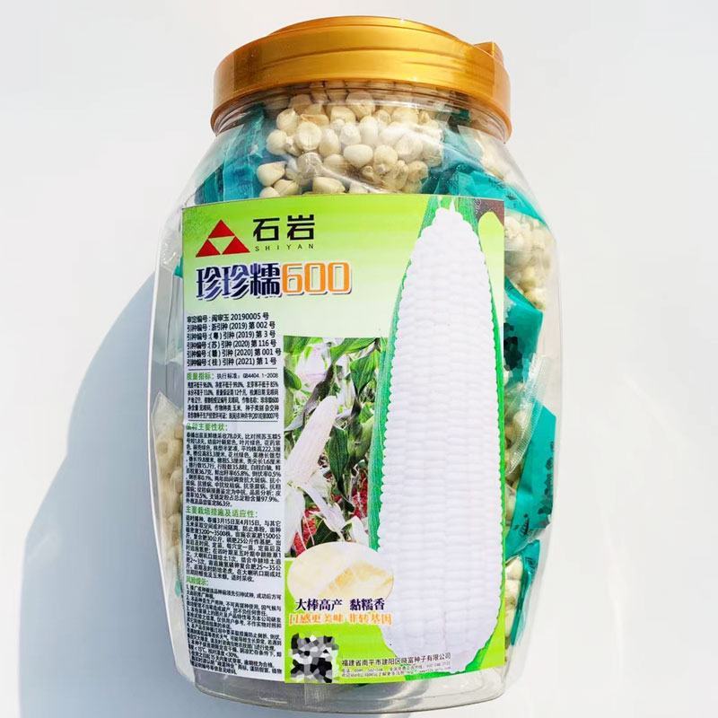 晓富种业珍甜糯66白甜糯玉米种子大棒甜加糯粘白玉米种子