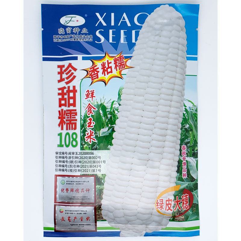 晓富珍甜糯108白甜糯玉米种子绿皮大棒非转甜加糯玉米种子