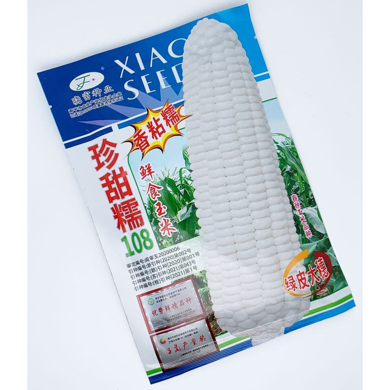晓富珍甜糯108白甜糯玉米种子绿皮大棒非转甜加糯玉米种子