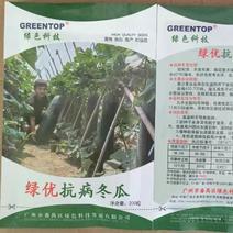 绿优抗病，冬瓜种子，长度70公分