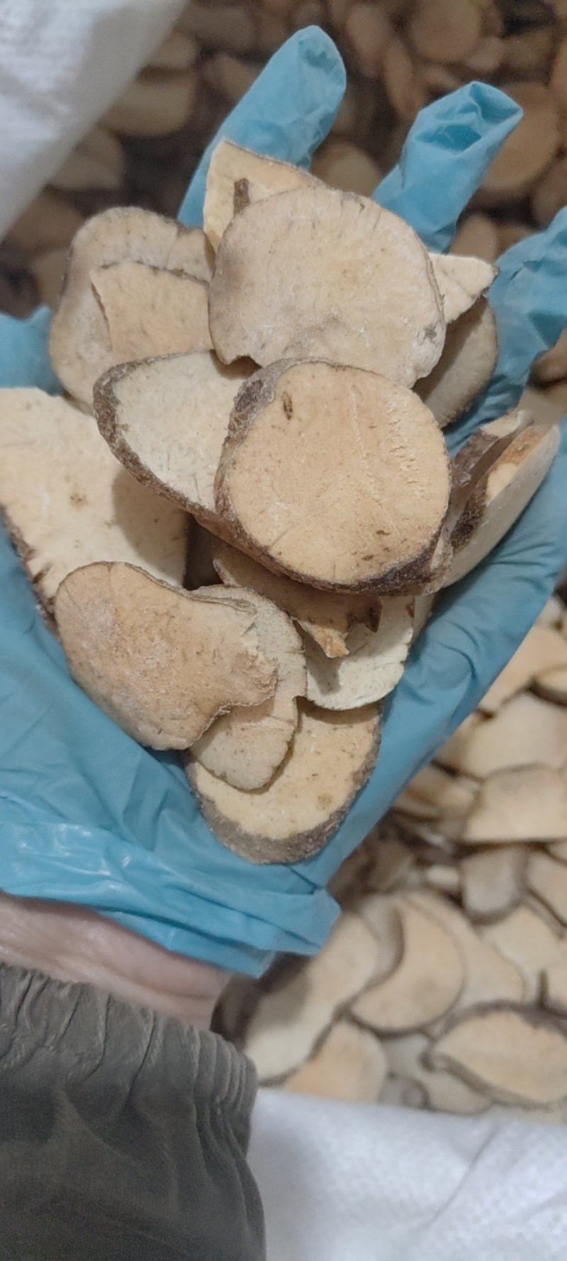 泽泻，泽泻批发，产地货源，质量保障，长年大货批发供应泽泻