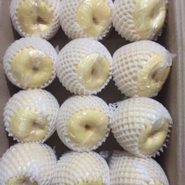 有20多万的精品酥梨