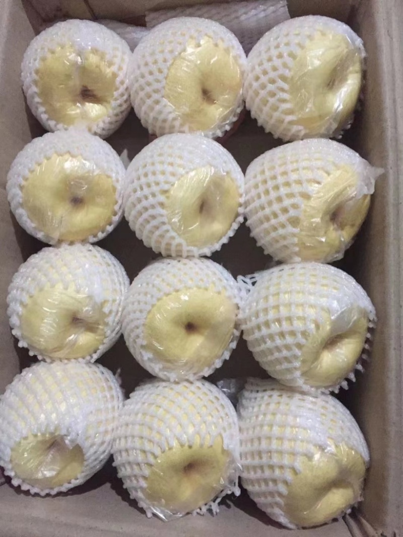 有20多万的精品酥梨