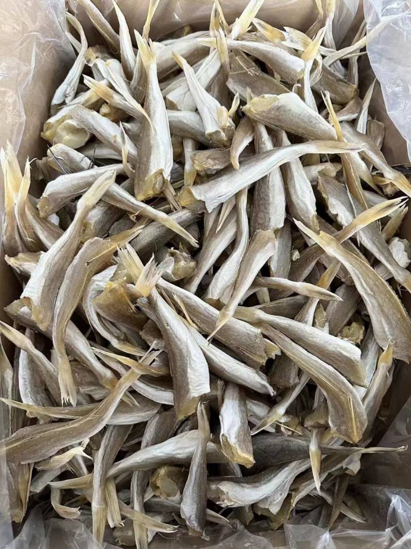 淡干角肉鱼干角条鱼干红娘鱼干干度好颜色靓淡口