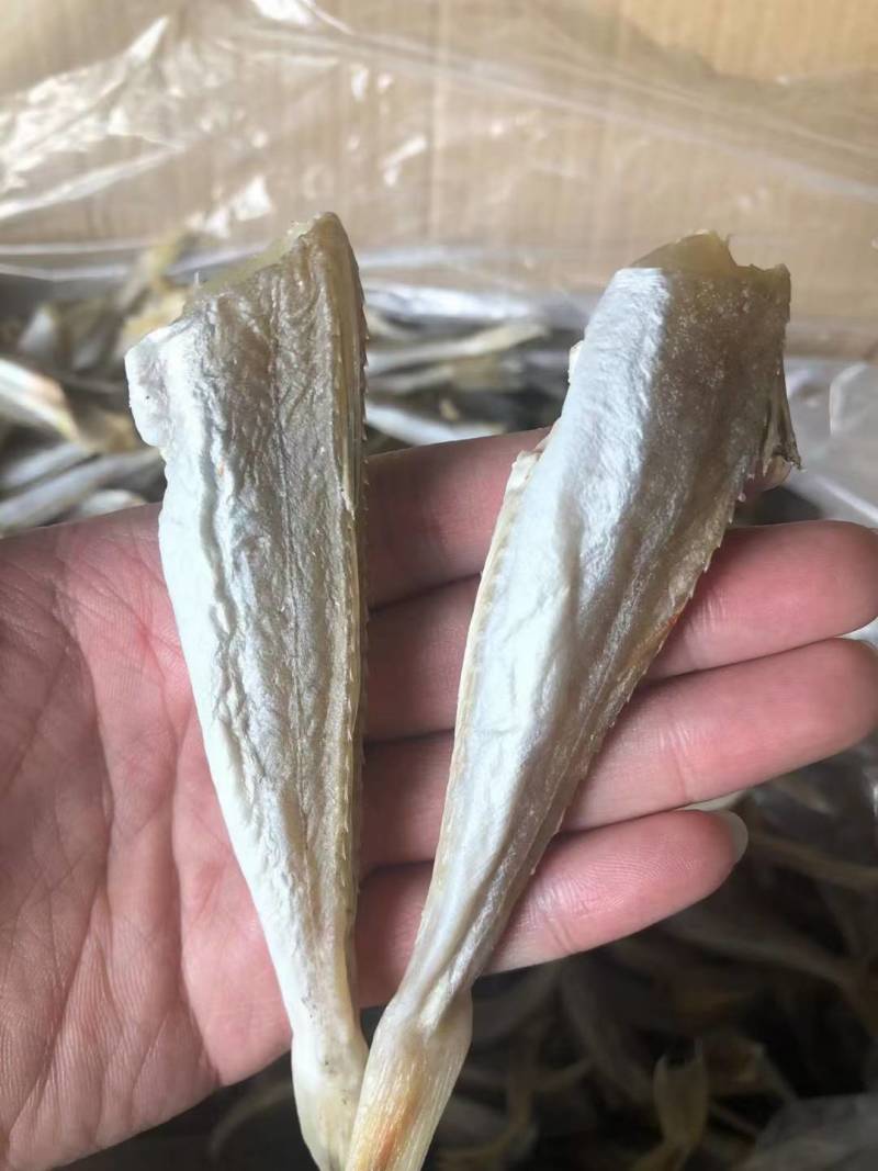 淡干角肉鱼干角条鱼干红娘鱼干干度好颜色靓淡口