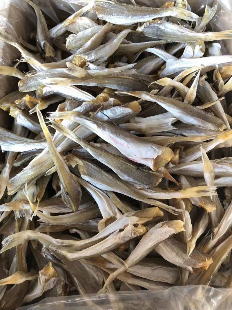 淡干角肉鱼干角条鱼干红娘鱼干干度好颜色靓淡口