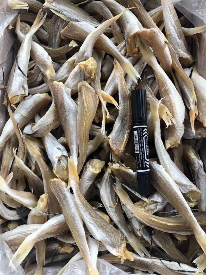 淡干角肉鱼干角条鱼干红娘鱼干干度好颜色靓淡口