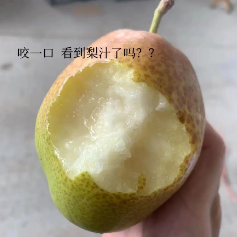 【梨】河北精品红香酥梨皮薄多汁坏单包赔代发全国