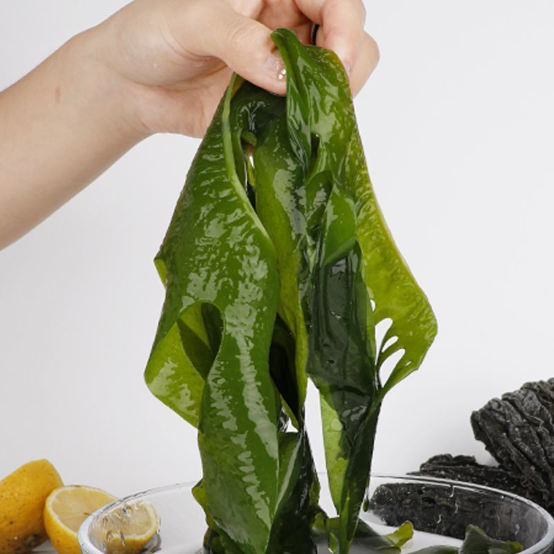 烘干裙带菜整条烘干裙带菜6信泡发包邮