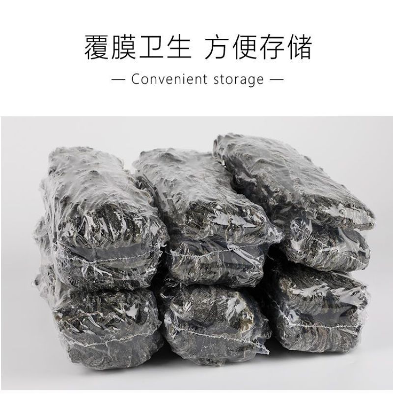 烘干裙带菜整条烘干裙带菜6信泡发包邮