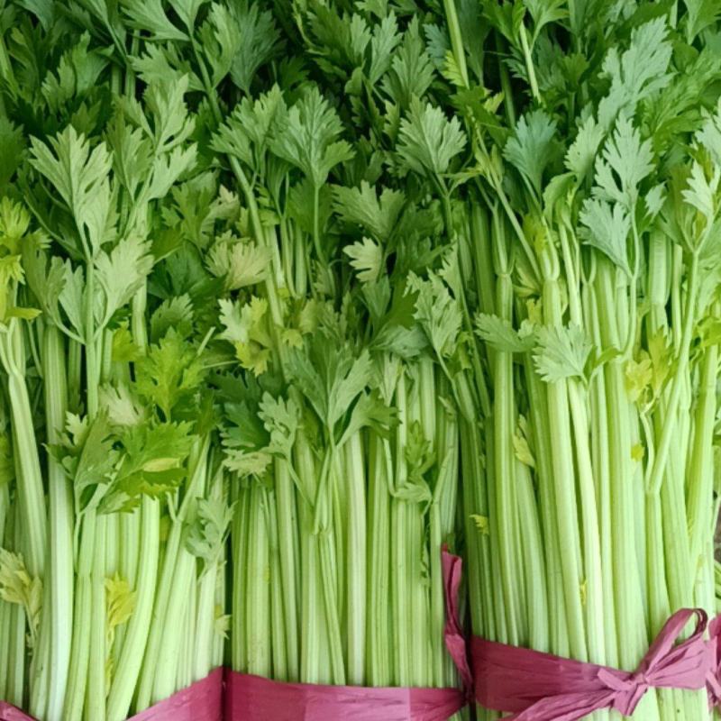 魏县大芹菜