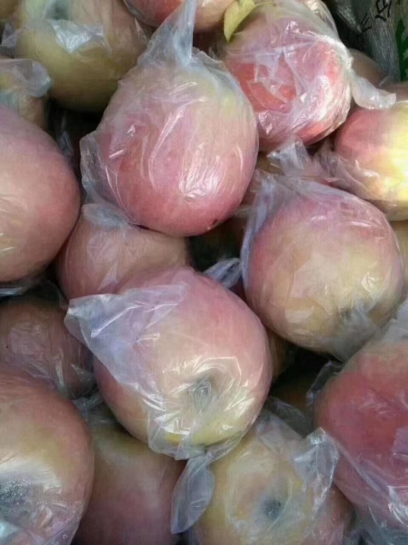 精品优质苹果，大量上市，口感脆甜，欢迎选购
