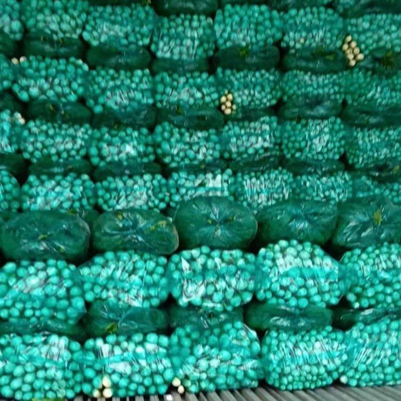 芹菜毛菜，产地直采货源稳定供应全国市场，欢迎咨询