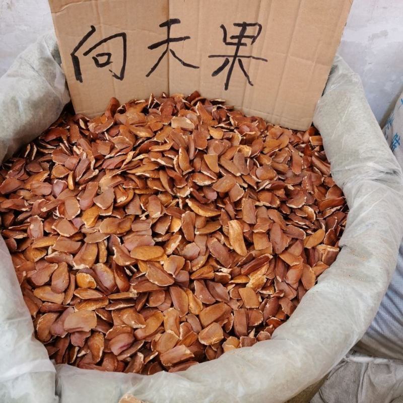 【向天果】所罗门无硫向天果大粒新鲜白心果包邮