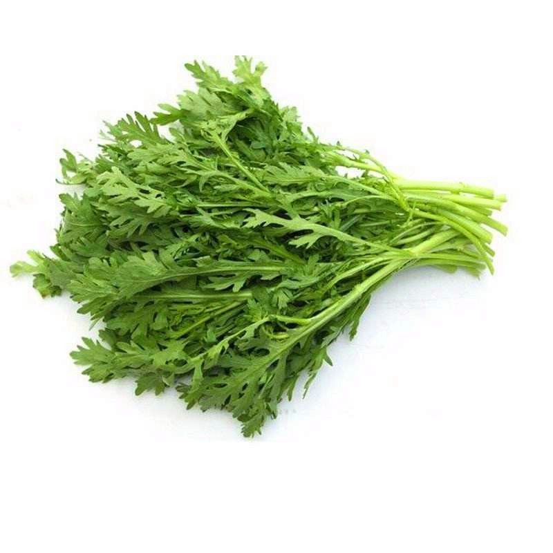 精品茼蒿，产地直发，可对接电商，超市，全国发货，欢迎来电