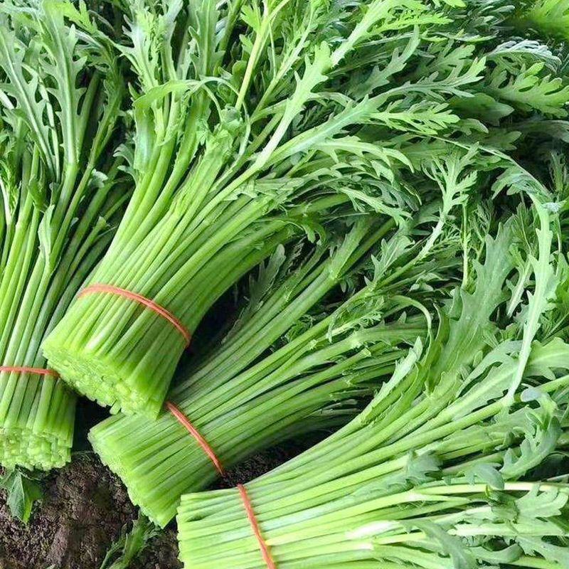 精品茼蒿，产地直发，可对接电商，超市，全国发货，欢迎来电
