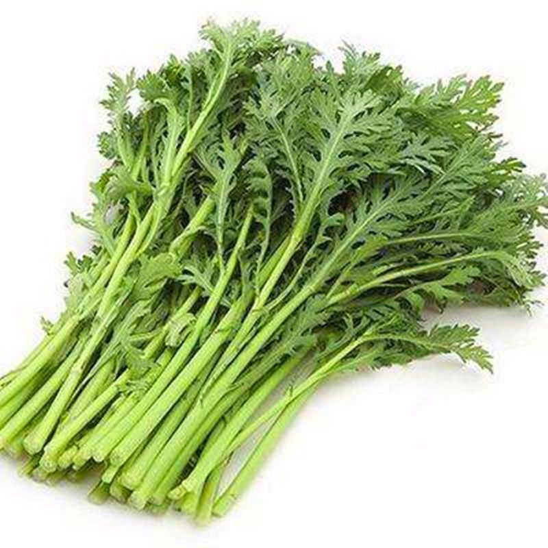 精品茼蒿，产地直发，可对接电商，超市，全国发货，欢迎来电