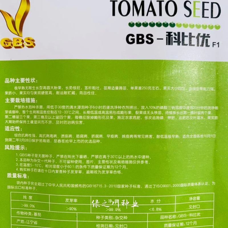 极早熟科比优高圆大粉果番茄种子耐低温西红柿种子秋冬