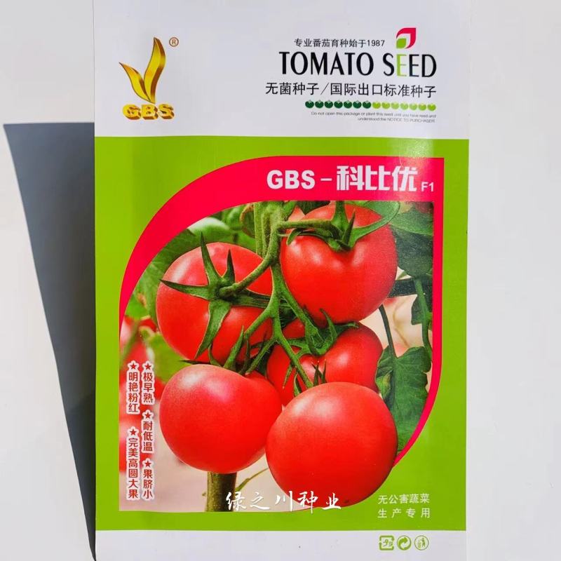 极早熟科比优高圆大粉果番茄种子耐低温西红柿种子秋冬
