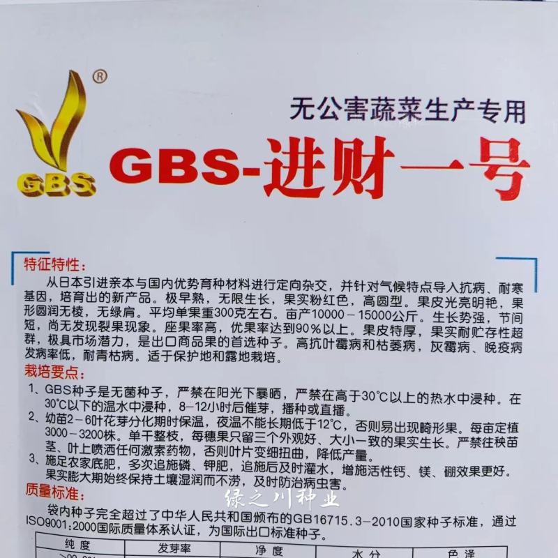 GBS进财一号无菌番茄种子耐寒极早熟高圆粉红西红柿种子