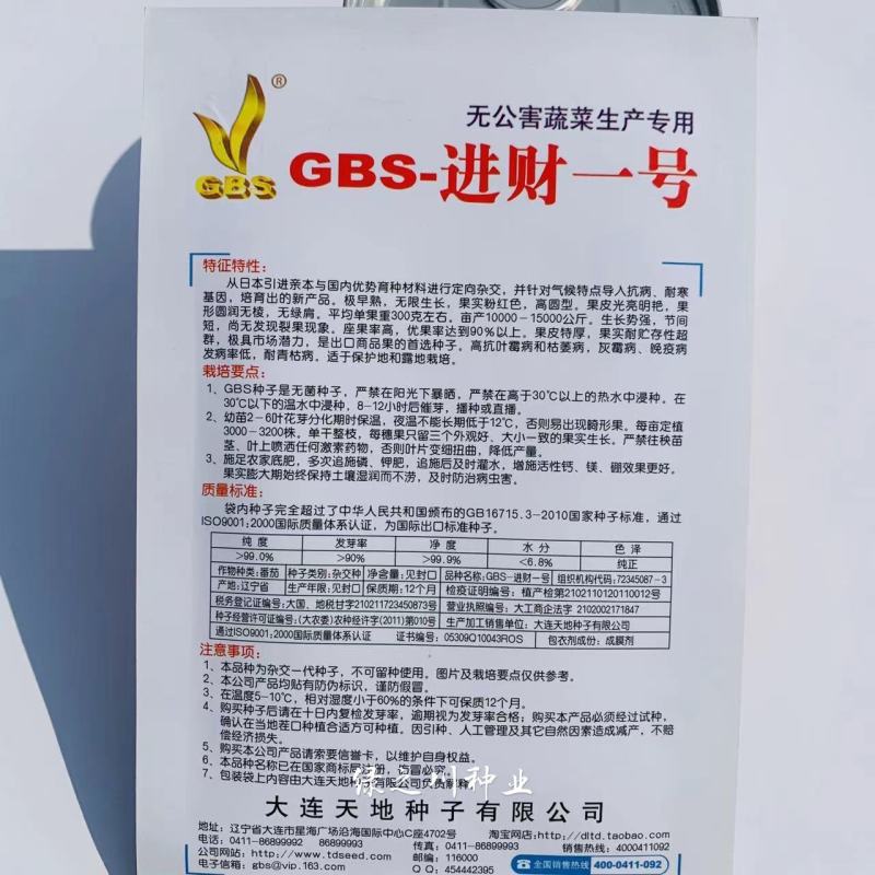 GBS进财一号无菌番茄种子耐寒极早熟高圆粉红西红柿种子