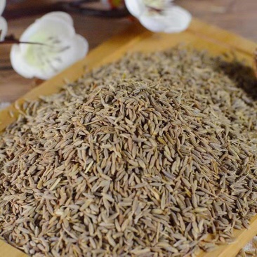 孜然，日照强，油性大，沟壑明显，香味重，一件也是批发价