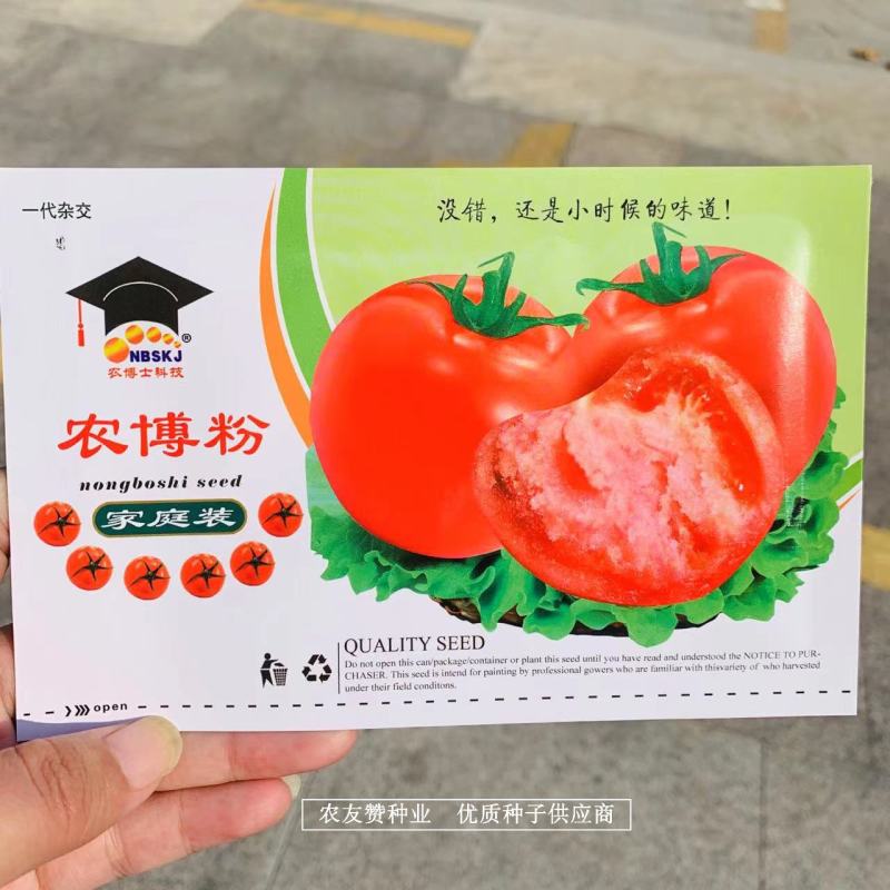 家庭装200粒西红柿种子粉红果酸甜适中番茄种子儿时的味道