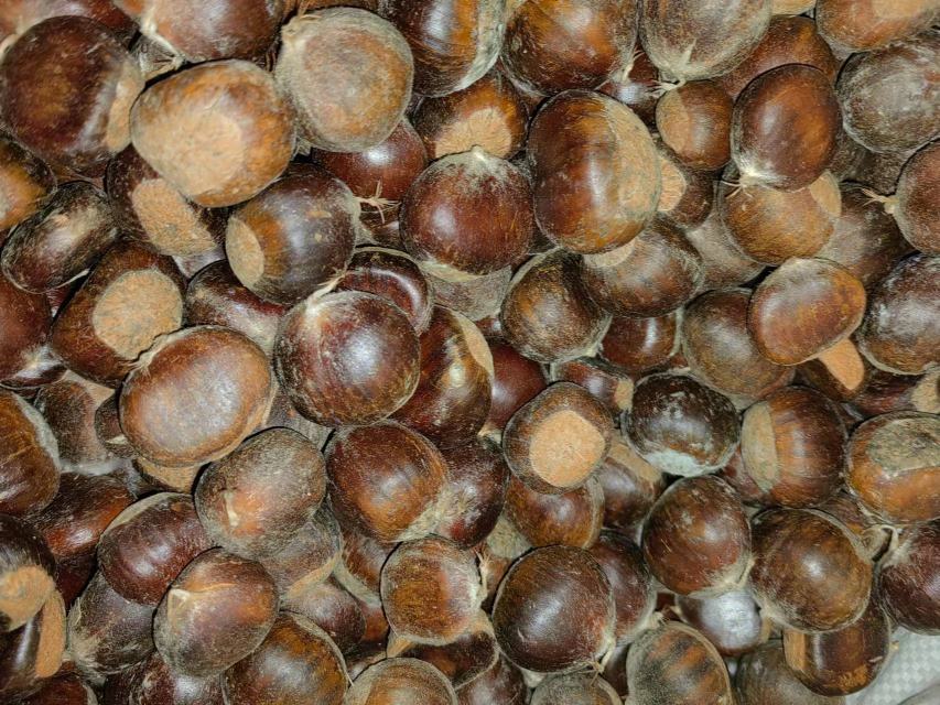 糖炒迁西板栗成品图