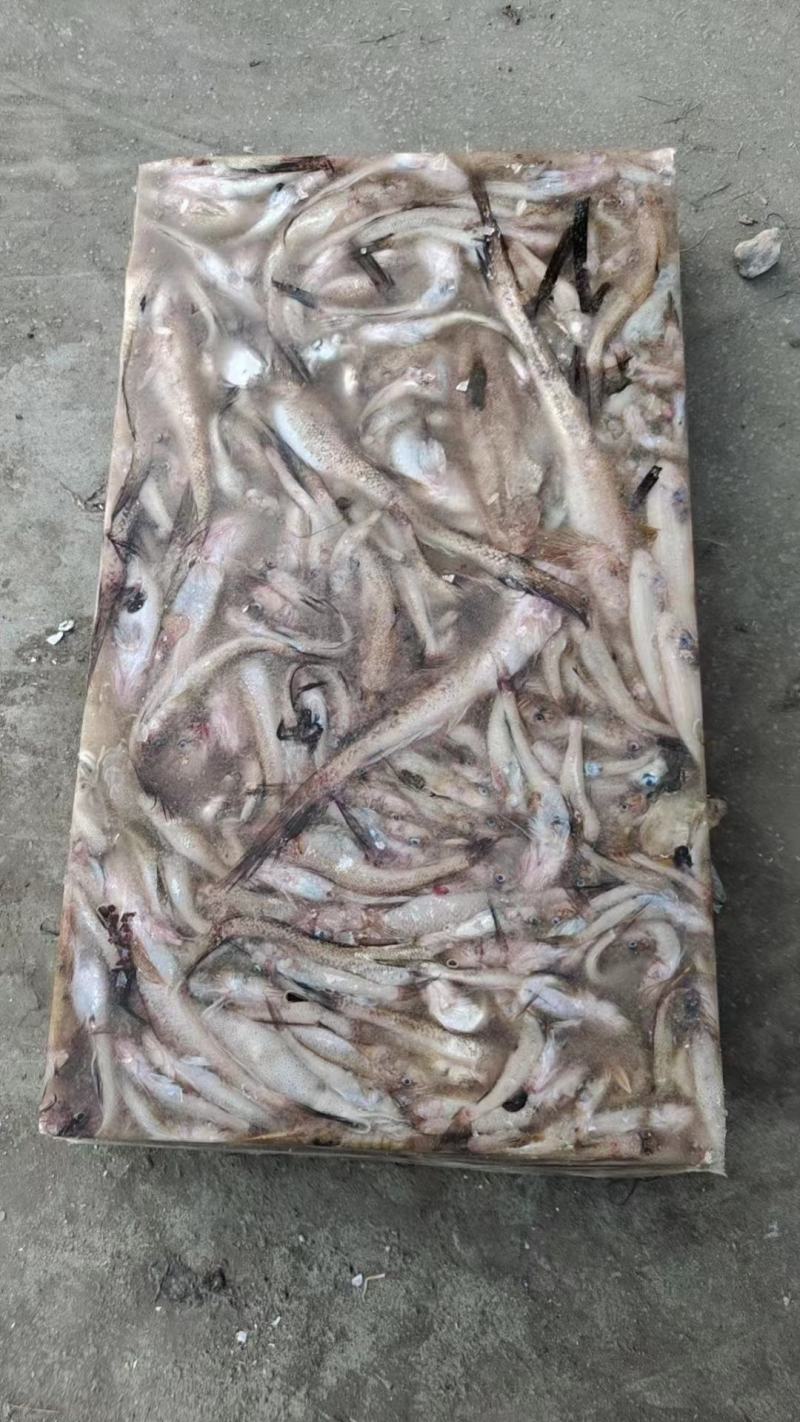 纯狗丁鱼，新鲜捕捞，适合狐狸，大闸蟹养殖用