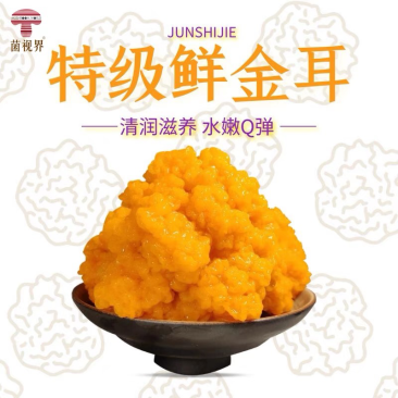 金耳菌《合作种植上门回收》全国发货货到付款